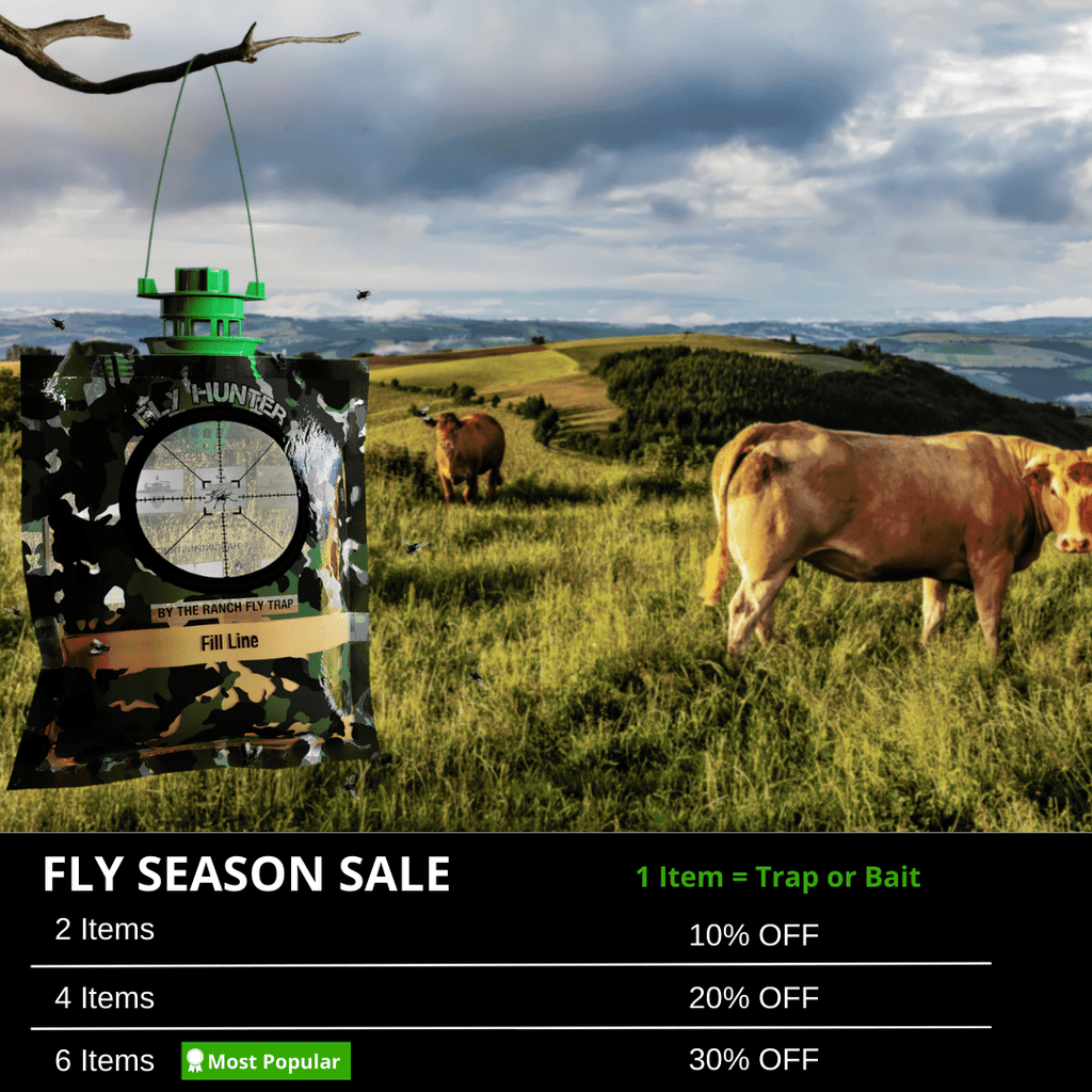 Fly Hunter